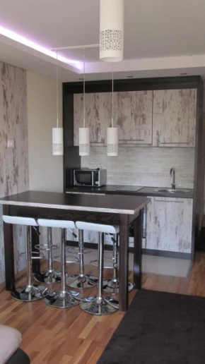 Гостиница Apartments Vanja i Vrh  Копаоник